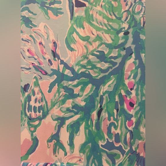 Lilly Pulitzer Dress - Picture 7 of 11